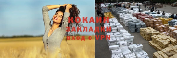 ALPHA PVP Новозыбков