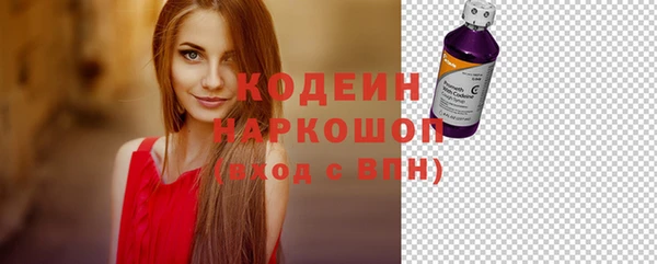 крисы Новокубанск