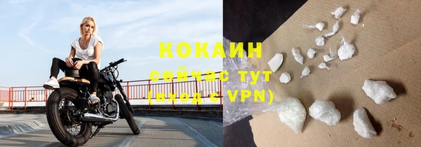 крисы Новокубанск