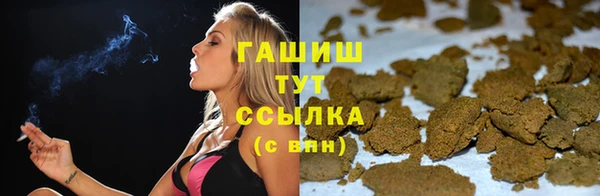стаф Новодвинск