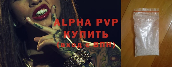 крисы Новокубанск