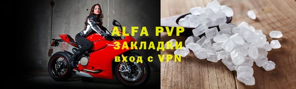 стаф Новодвинск