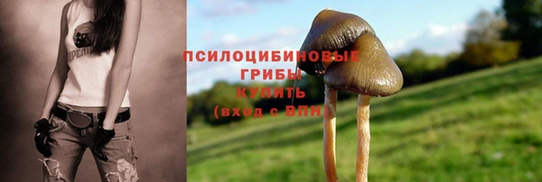 стаф Новодвинск