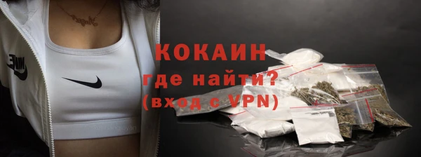 крисы Новокубанск