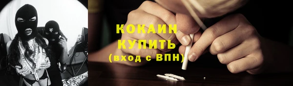 стаф Новодвинск