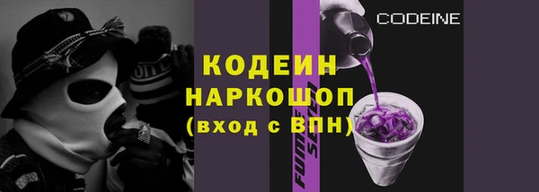 стаф Новодвинск