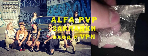 стаф Новодвинск