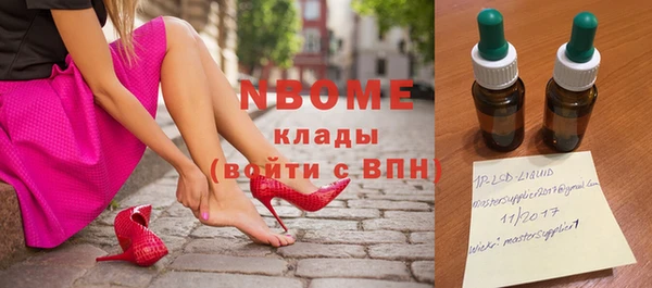 стаф Новодвинск