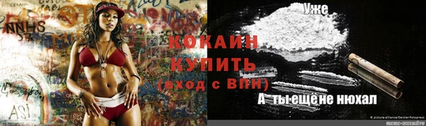 крисы Новокубанск