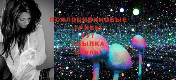 стаф Новодвинск