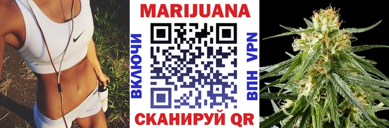 mega онион  Орлов  Шишки марихуана сатива  закладка 